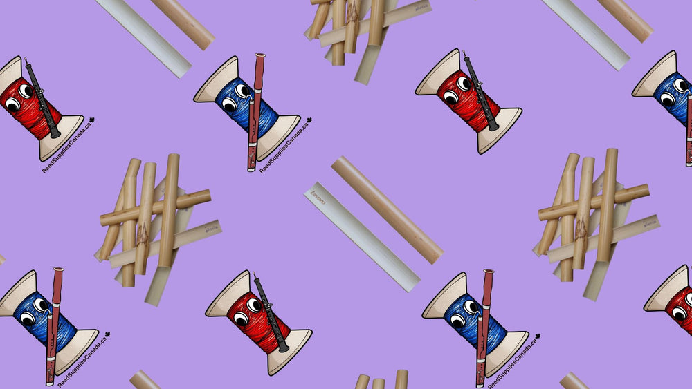 Cane