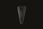 Bassoon/Contrabassoon Plaque
